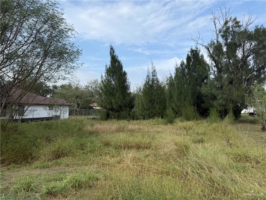 13206 Ash Ave, La Blanca, TX 78542 - photo 1