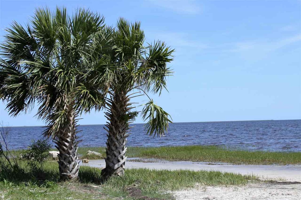 175 Wakulla Beach Rd, Crawfordville, FL 32327 - photo 1