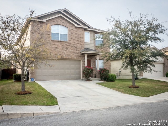 11211 Clusius, Helotes, TX 78023 - photo 1