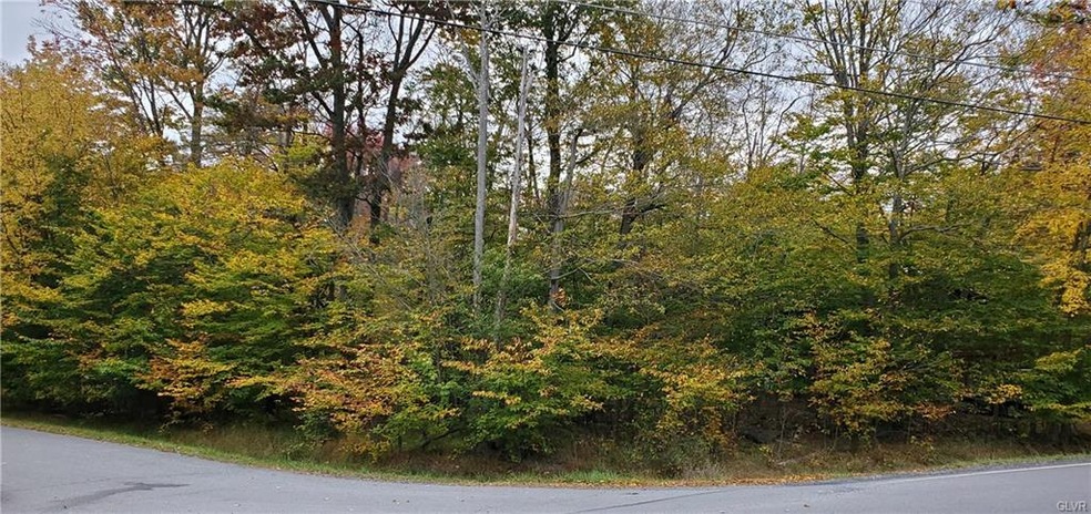 0 Waterfront Dr, Coolbaugh Township, PA 18466 - photo 1