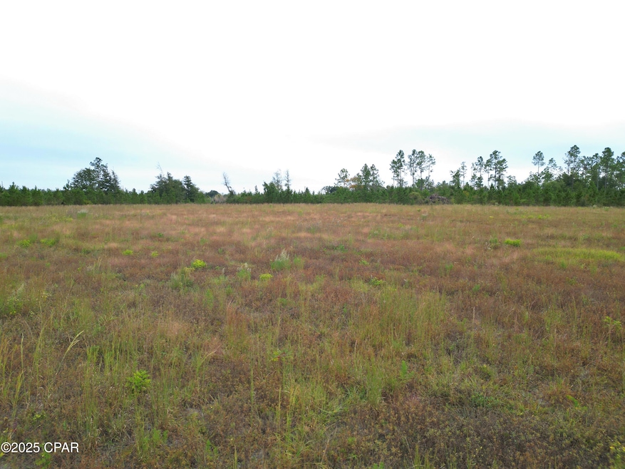 00 Glenmore Ct, Marianna, FL 32446 - photo 1