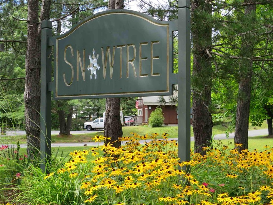 11 B Snowtree Birches Common unit 11 B, Dover, VT 05356 - photo 1