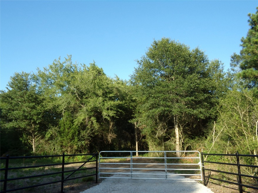 31068 Hegar Rd, Hockley, TX 77447 - photo 1