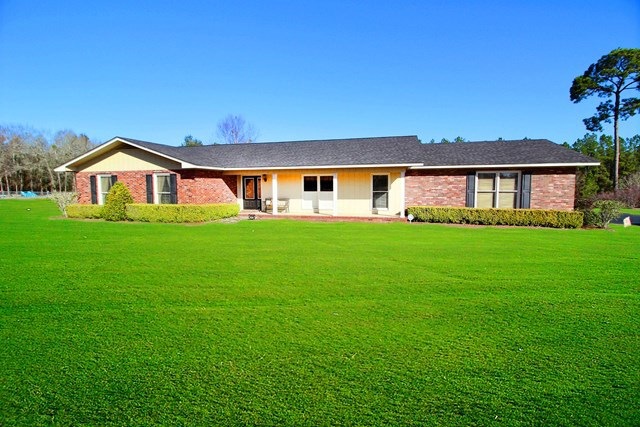 Main View