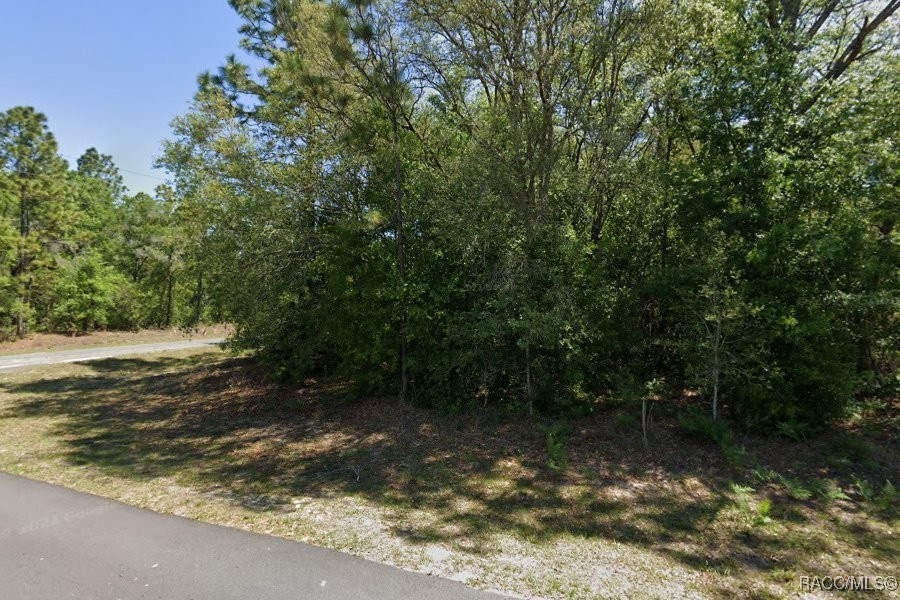 8753 N Zurich Way, Citrus Springs, FL 34434 - photo 1