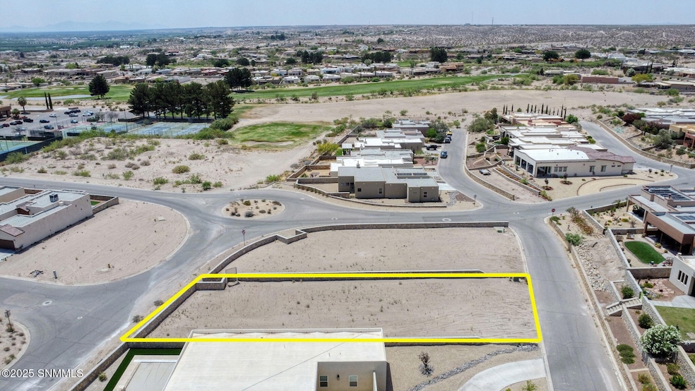 1316 Cassatt Place, Las Cruces, NM 88007 - photo 1