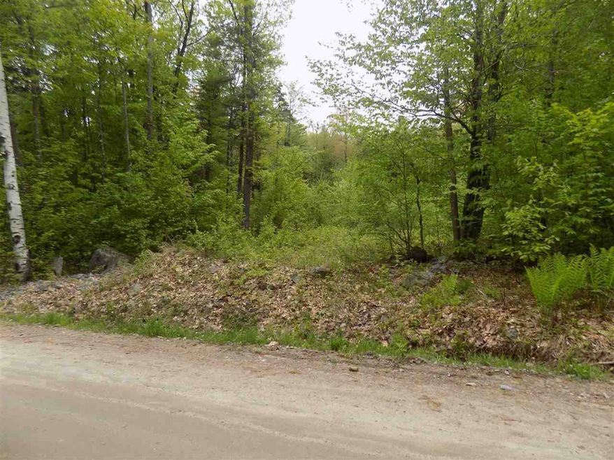 451 Bailey Rd, Washington, NH 03280 - photo 1