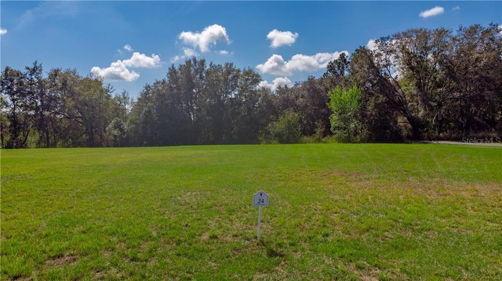 9212 San Jose Blvd, Howey In the Hills, FL 34737 - photo 1