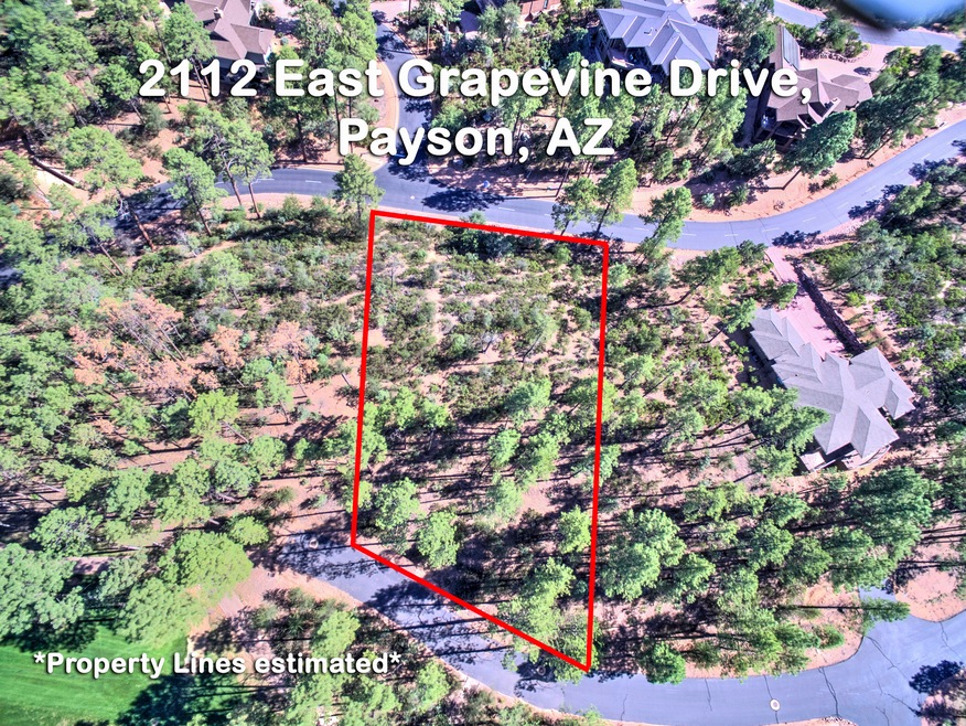 Grapevine Property Lines
