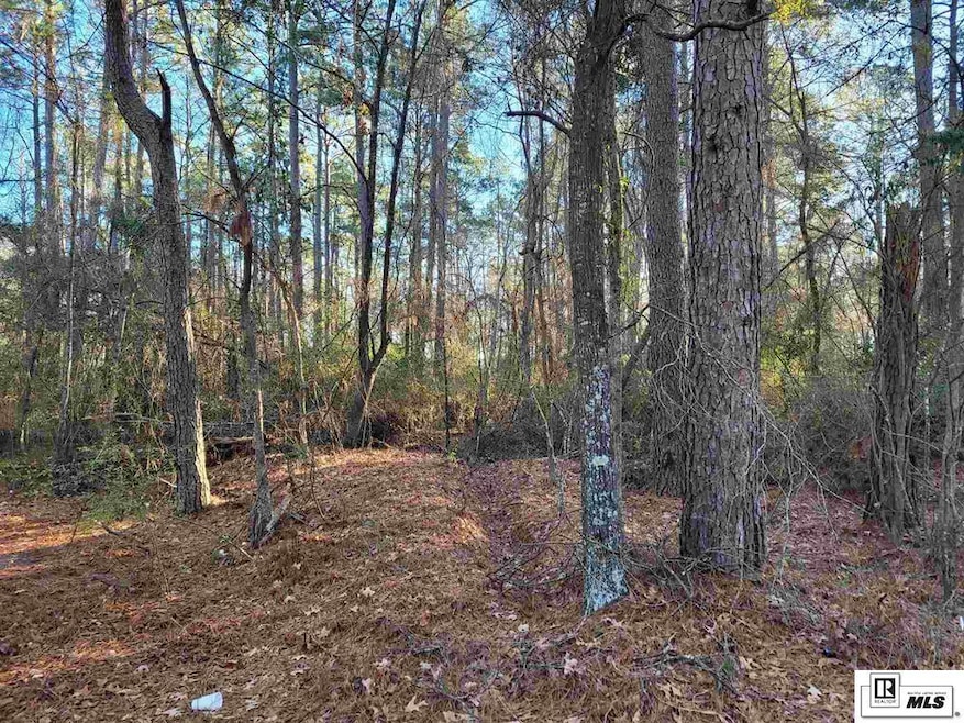 000 Stubbs Vinson Rd, Monroe, LA 71203 - photo 1