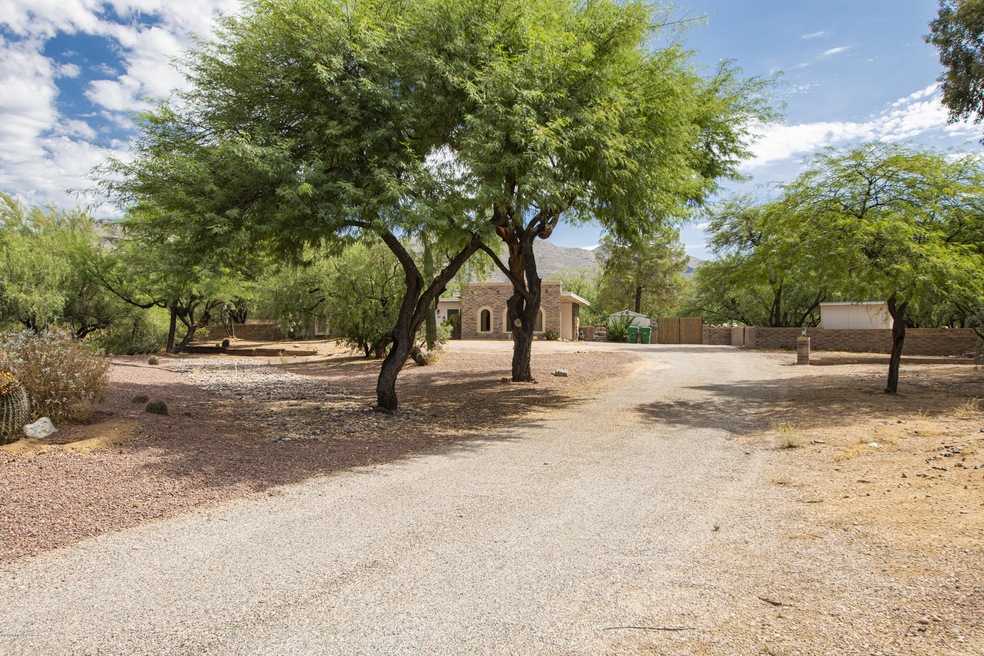 WalnutTreeCir_SamAzPhotography-1