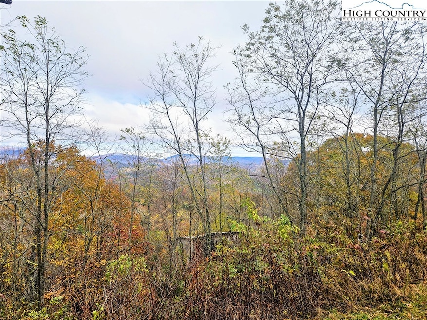 851 E Whenlin Ridge Rd, Lansing, NC 28643 - photo 1