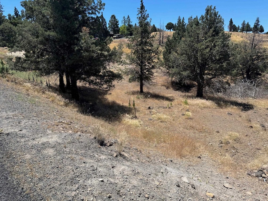 5-2 Lot 176 Antler Way unit 5-2, Lake Shastina, CA 96094 - photo 1