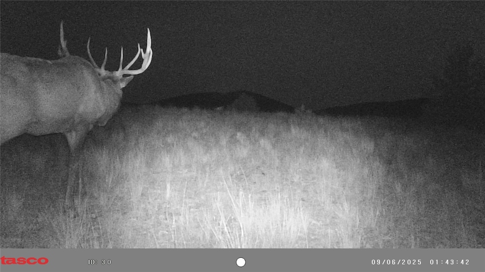 TBD Keating Gulch Rd, Radersburg, MT 59641 - photo 1