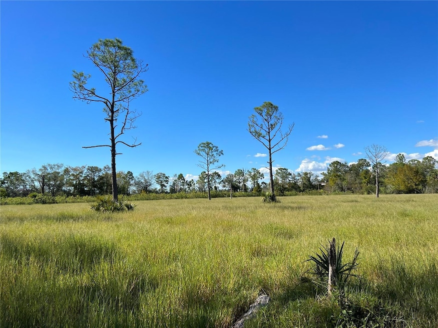 3570 Magnolia Trace, Labelle, FL 33935 - photo 1