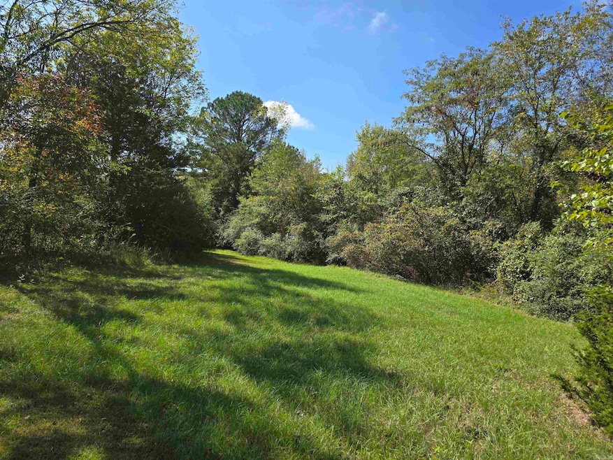 000 Saltillo Rd, Conway, AR 72032 - photo 1