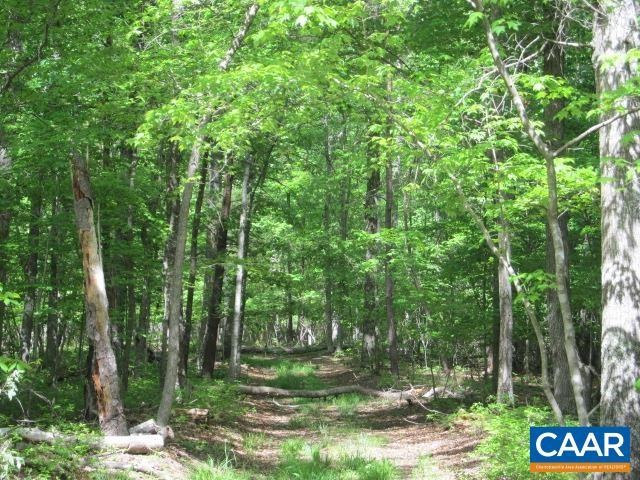 200 ac Buck Island Rd, Scottsville, VA 22902 - photo 1