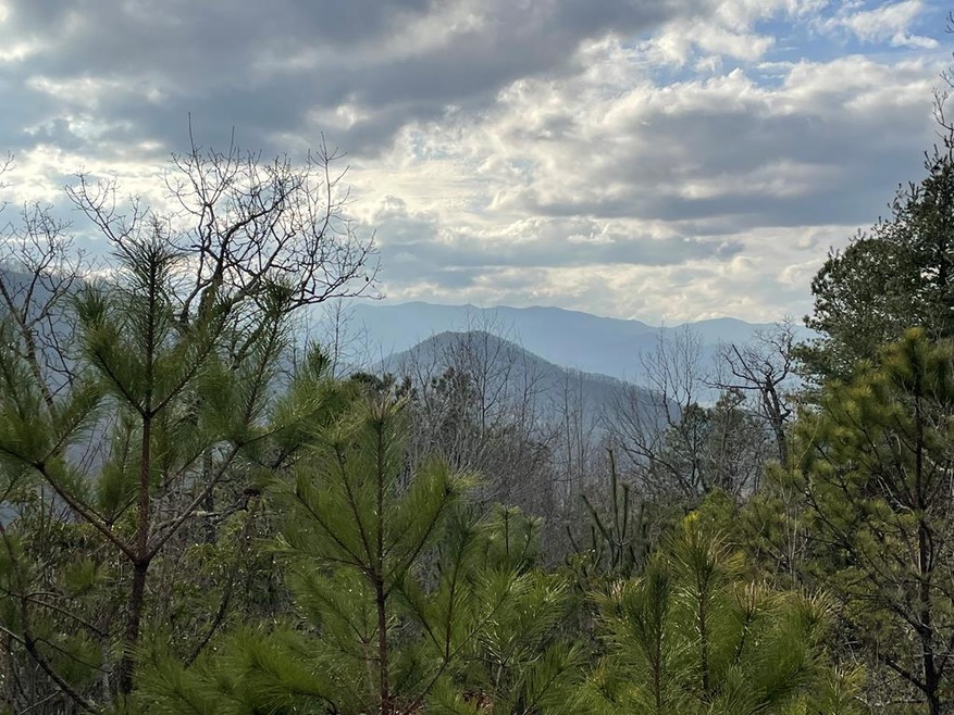 00 Doghobble Dr, Franklin, NC 28734 - photo 1