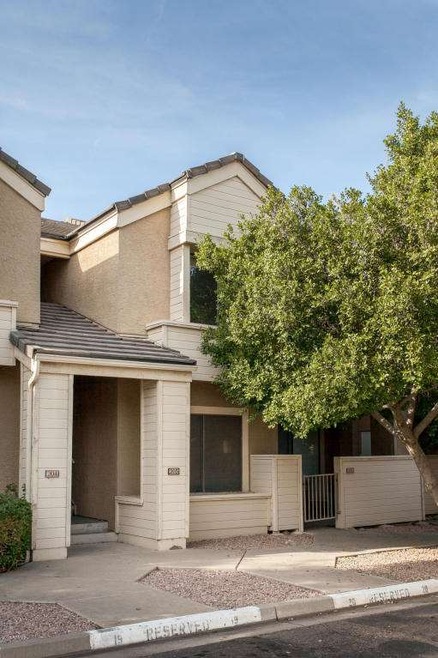 Elm_Tempe-3