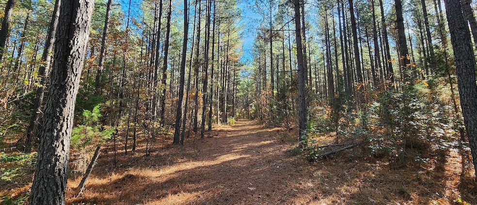 Grand Brooks Rd, Spotsylvania, VA 22551 - photo 1