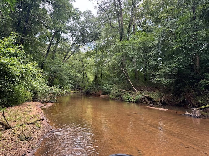 180.14 Johnson Mill Rd, Hamilton, GA 31811 - photo 1