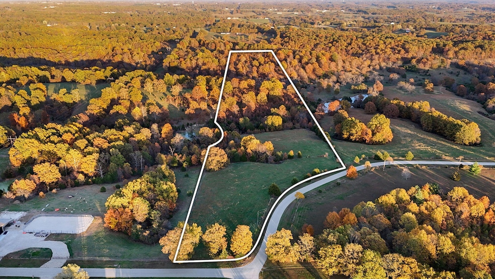 000 Weatherby Dr unit 20 Ac Tract, Fordland, MO 65652 - photo 1