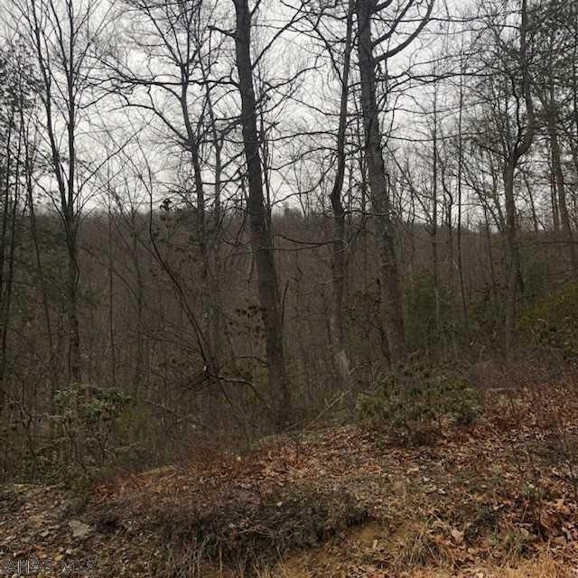 Off Magnet Rd, Bedford Township, PA 15522 - photo 1