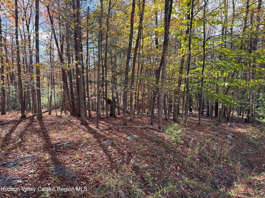 TBD Cross Patch Rd, Willow, NY 12495 - photo 1