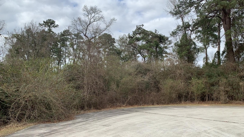 25227 Wilkes Park, Tomball, TX 77375 - photo 1