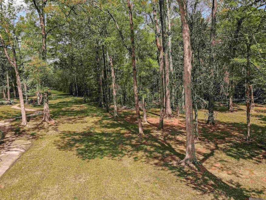 19537 Creek Round Ave, Shenandoah, LA 70817 - photo 1