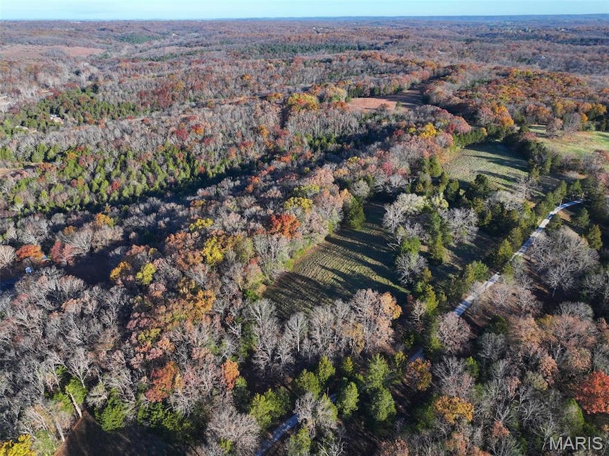 0 Scanlon Dr, de Soto, MO 63020 - photo 1