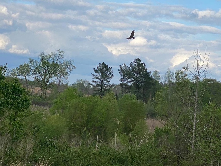 12 Crest Line Dr, Upatoi, GA 31829 - photo 1