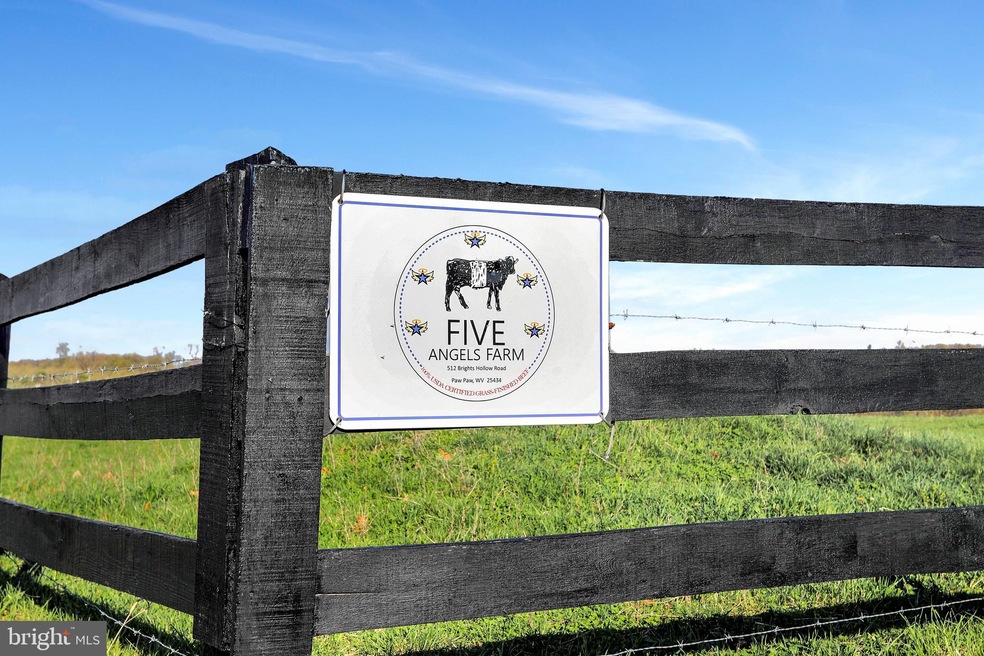 512 Brights Hollow Rd, Paw Paw, WV 25434 - photo 1