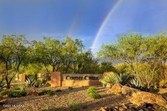 coyote-creek-2020-1 - Copy