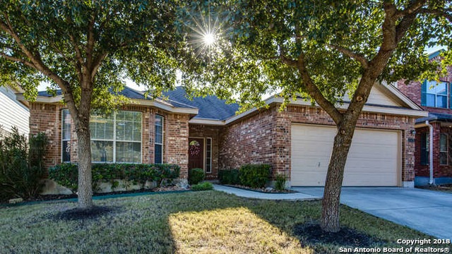 24503 Alamosa Falls, San Antonio, TX 78255 - photo 1