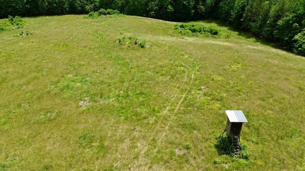 120 Acres Carnes Chapel Rd, Attalla, AL 35954 - photo 1