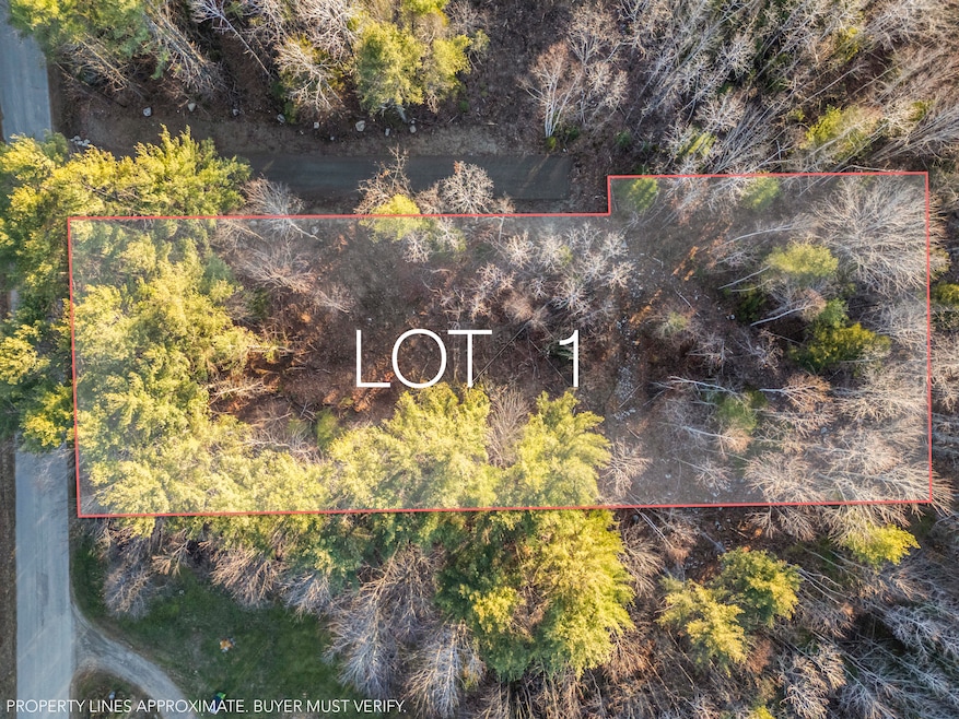 Lot 1 Hostile Valley Rd, Palermo, ME 04354 - photo 1