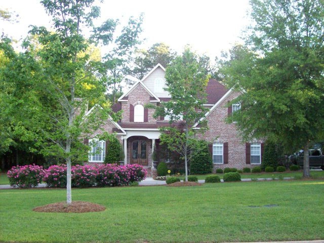 Main View
