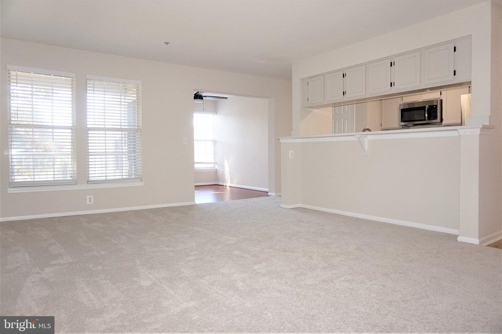 3580 Sherbrooke Cir unit 202, Woodbridge, VA 22192 - photo 1