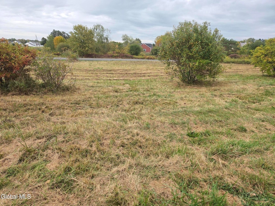 80 Mcbride Rd, Clifton Park, NY 12065 - photo 1