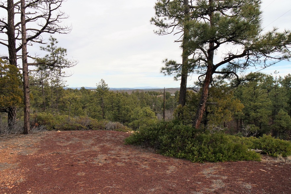 Amazing Mountain Views