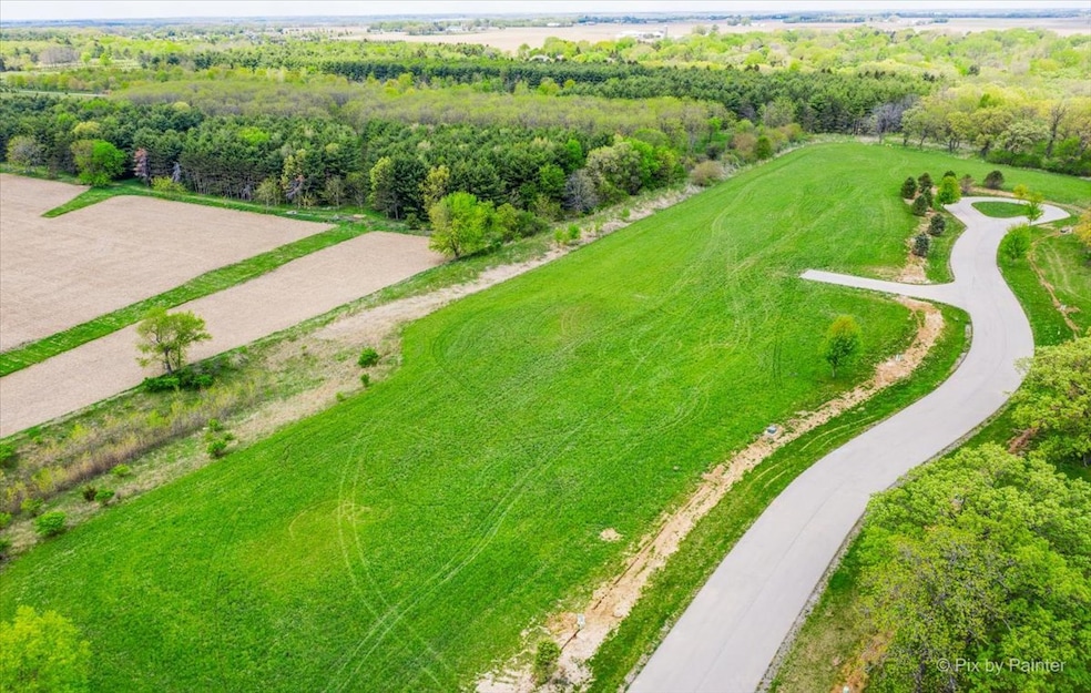 4407 Preservation Ct, Johnsburg, IL 60051 - photo 1