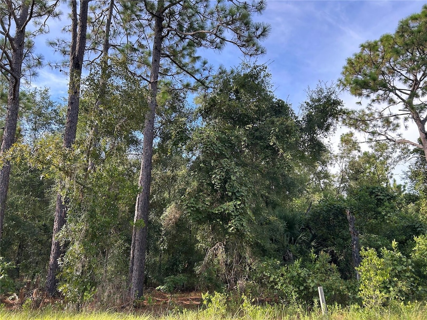 tbd NE 11th Place, Williston, FL 32696 - photo 1