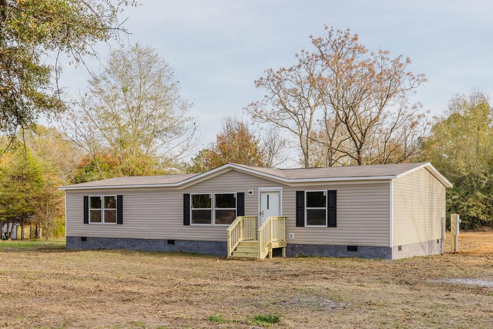 569 Henry Hart Rd, Leslie, GA 31764 - photo 1