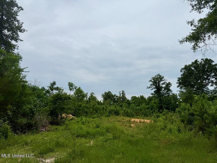 10.19 Acre Mississippi 43 N, Poplarville, MS 39470 - photo 1