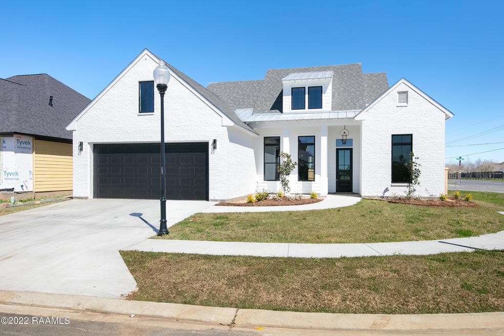 311 Canary Palm -2