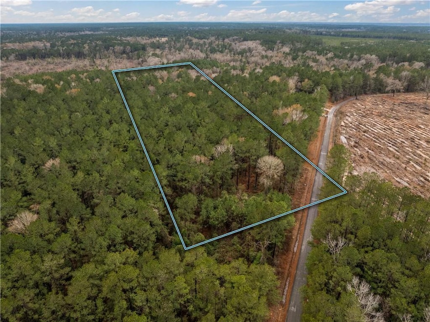 TBD-11 acres Tatoo Rd, Glenmora, LA 71433 - photo 1