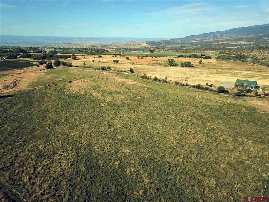 22690 Sweet Clover Rd, Cedaredge, CO 81413 - photo 1