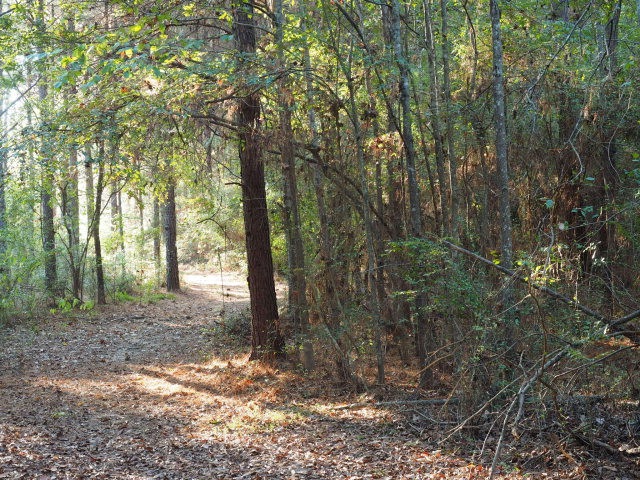 3198 Shell Oil Rd, Summit, MS 39666 - photo 1