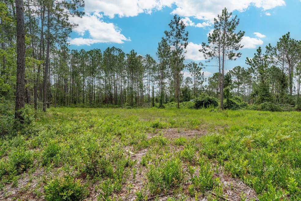 00 Willacoochee Hwy, Willacoochee, GA 31750 - photo 1